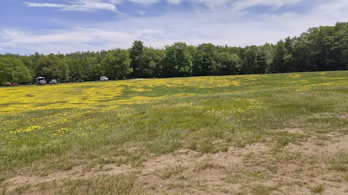 Field & Forest Recreation Area Picture 4