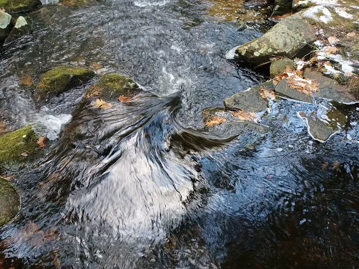 Willard Brook State Forest Campground Picture 4