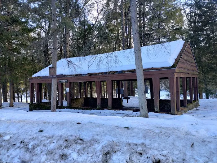 Willard Brook State Forest Campground Picture 7