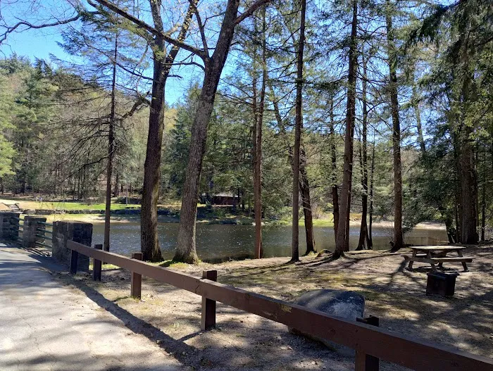 Willard Brook State Forest Campground Picture 5