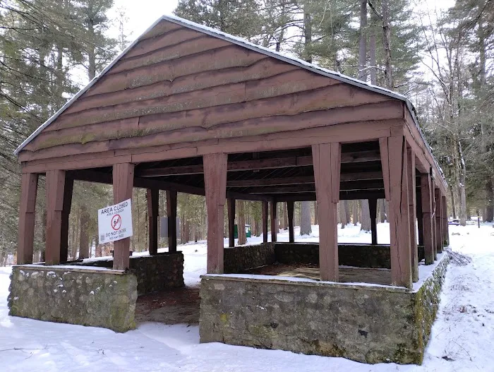 Willard Brook State Forest Campground Picture 2