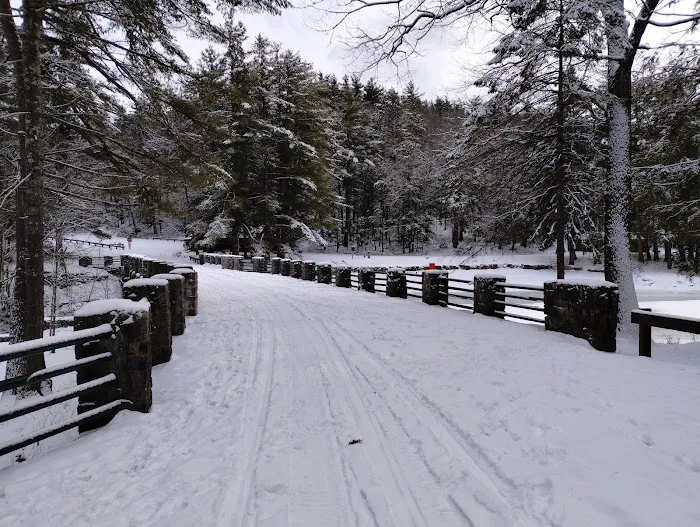 Willard Brook State Forest Campground Picture 6