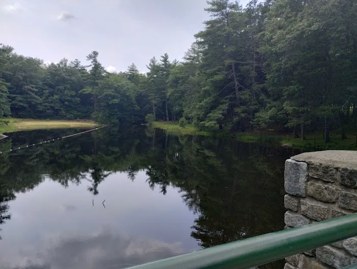 Willard Brook State Forest Campground Picture 1