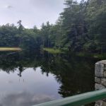 Willard Brook State Forest Campground