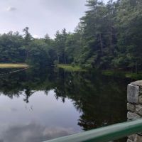 Willard Brook State Forest Campground ico