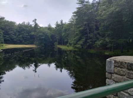Willard Brook State Forest Campground