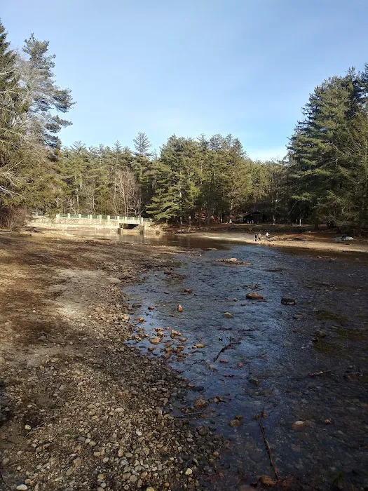 Willard Brook State Forest Campground Picture 9