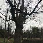 Creekside Park