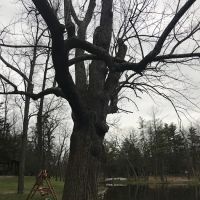 Creekside Park ico