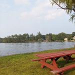 Shady Point Beach & Campground