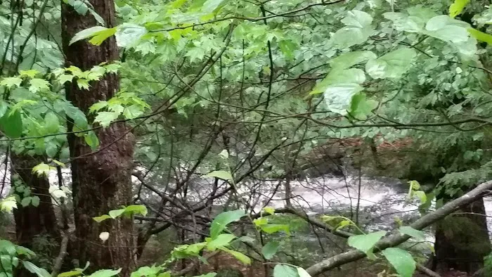 The Pines Campground Picture 8