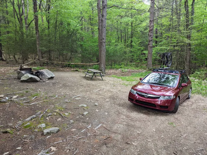 The Pines Campground Picture 6