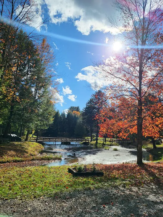 Cold Brook Campsites Picture 9