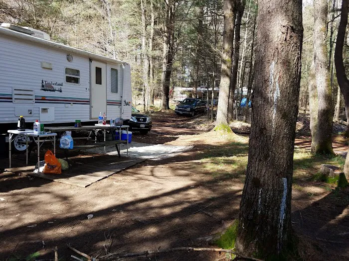 Cold Brook Campsites Picture 10
