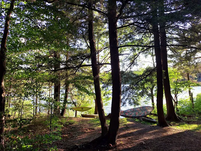 Nicks Lake Campground Picture 6