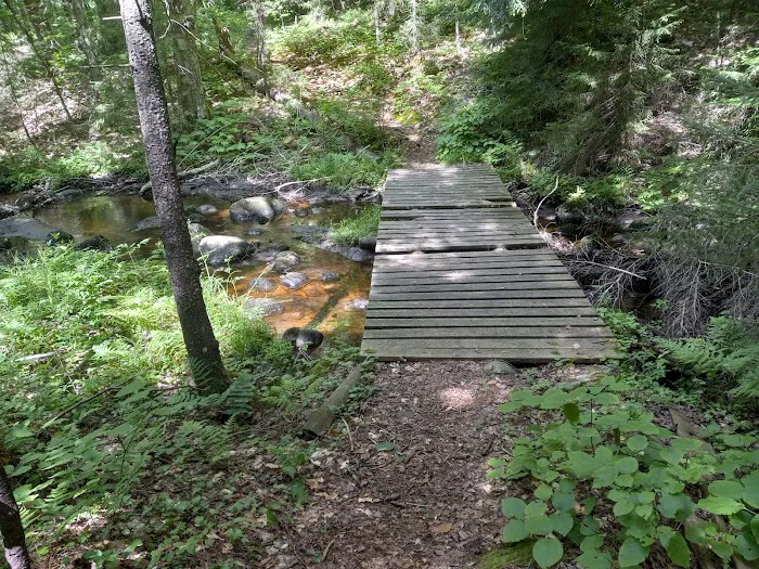 Nicks Lake Campground Picture 9