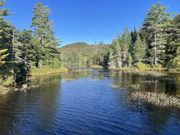 Nicks Lake Campground Picture 4