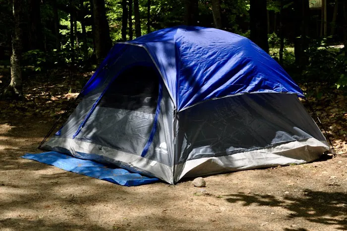 Old Forge Camping Resort Picture 4