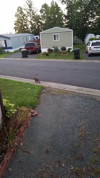 Foxwood Village Picture 6