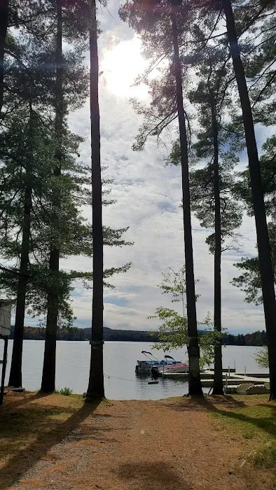 Bald Mountain Colony Picture 8