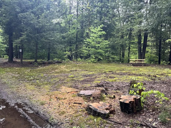 Carterville Acres Campground Picture 4