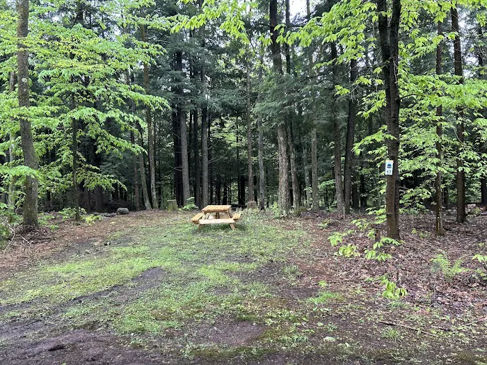 Carterville Acres Campground Picture 7