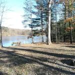 Lake Heron Retreat