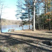 Lake Heron Retreat ico