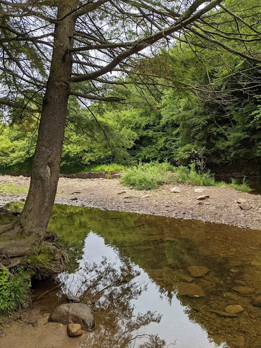 County Bridge Campground Picture 5