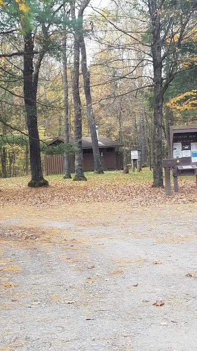 County Bridge Campground Picture 6