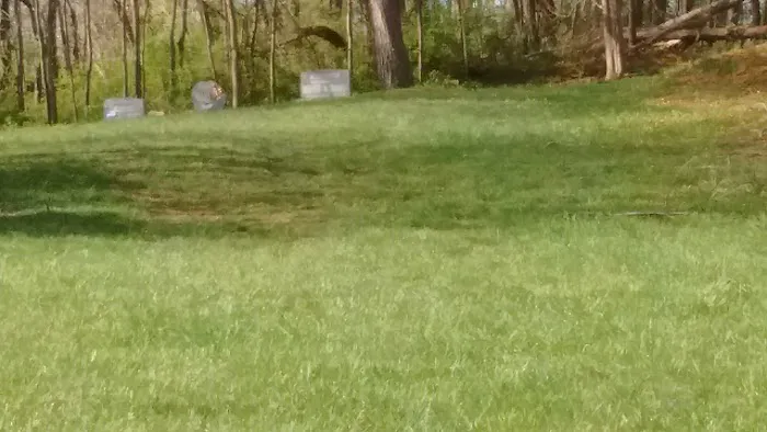 Sandy's Manufactured Home Community Picture 5