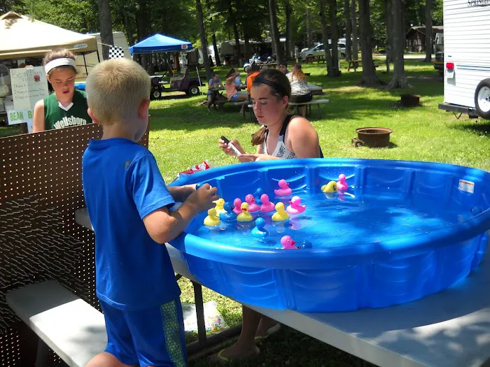 Tanglewood Camping Picture 5