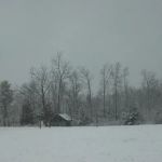 Mount of Blessing Camp