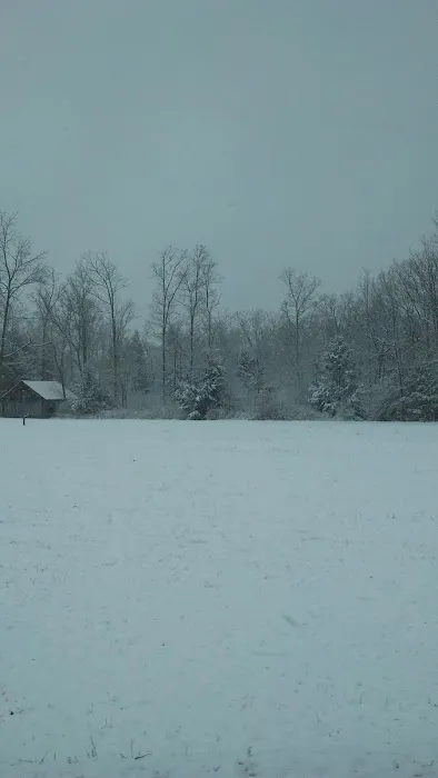 Mount of Blessing Camp Picture 2