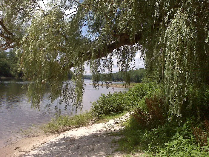 A1 Susquehanna Campground Picture 6