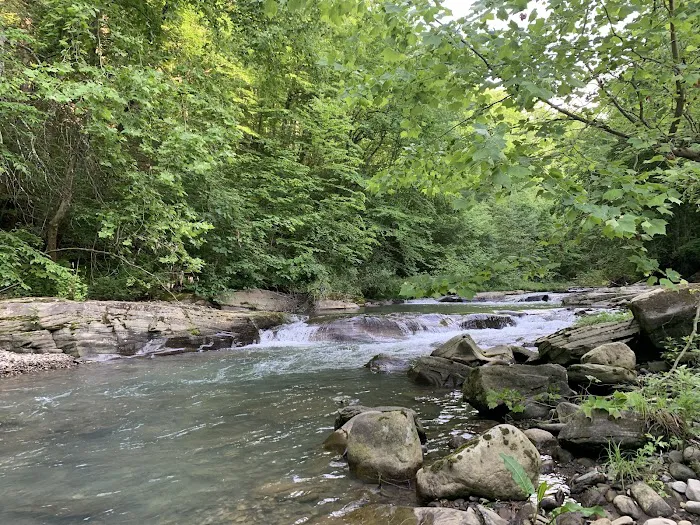 Twin Streams Campground Picture 7