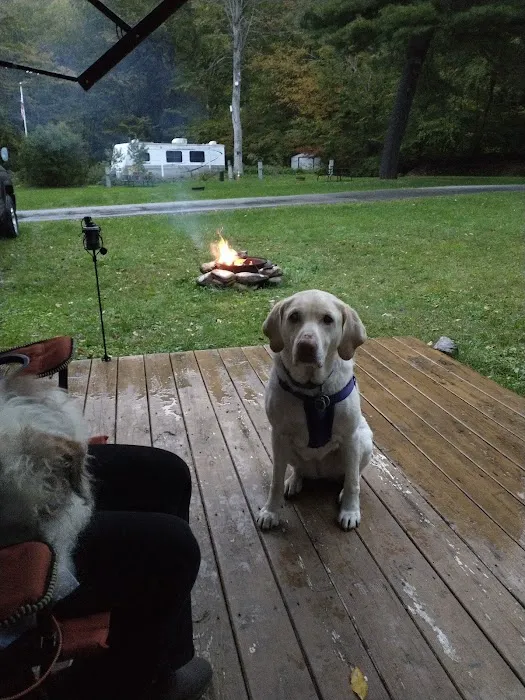 Twin Streams Campground Picture 3
