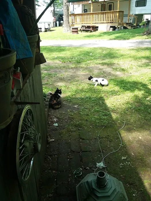 Lost Acres Camping Resort/Eatery Picture 9