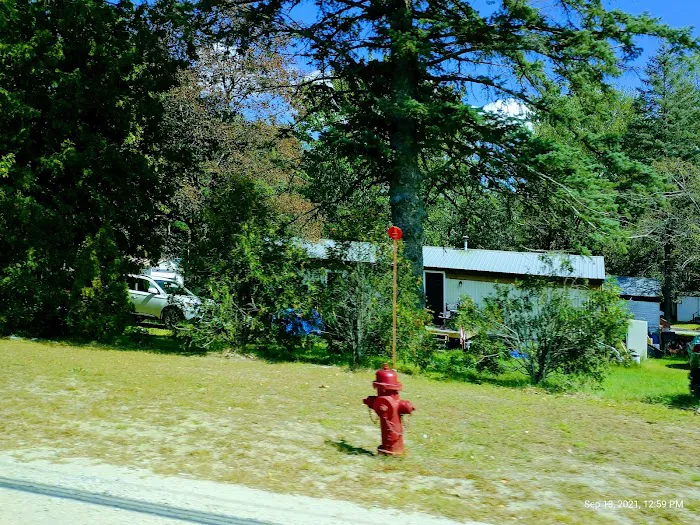 Black Bear Village Cooperative Picture 7