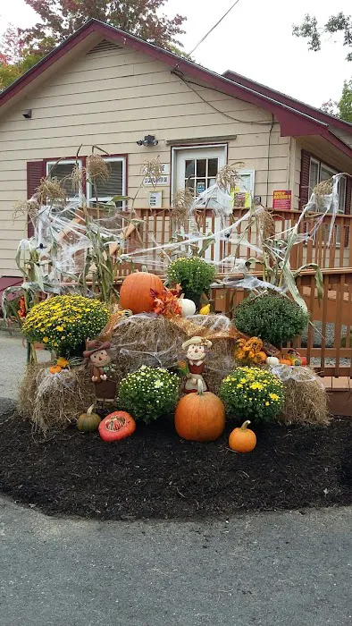 Black Bear Village Cooperative Picture 3