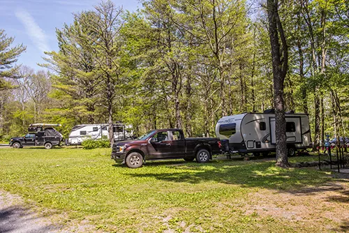 Holiday Pines Campground Picture 1