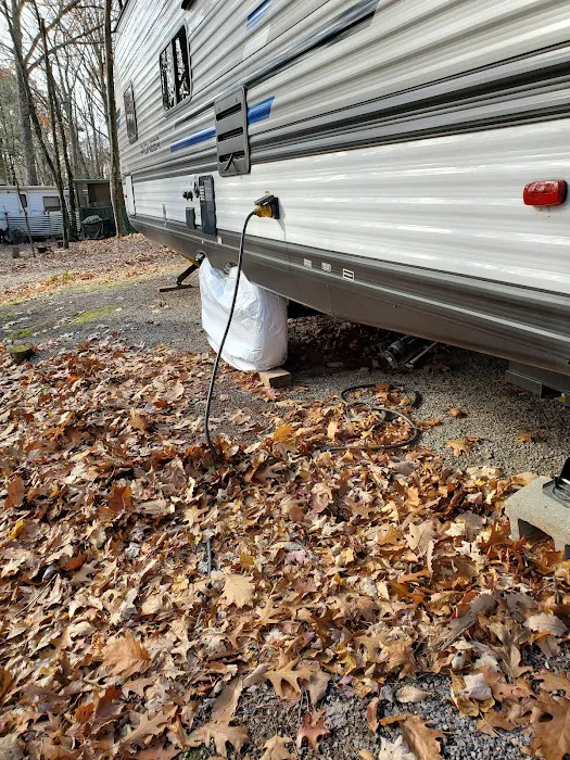 Gray Squirrel Campground Picture 5