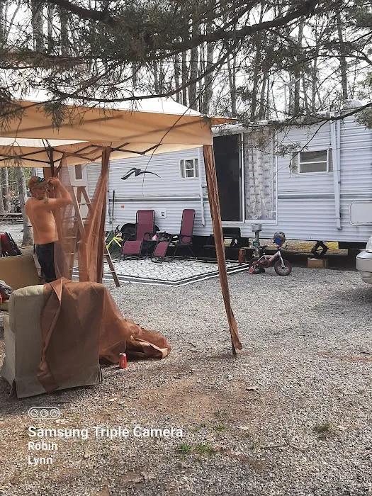 Gray Squirrel Campground Picture 2