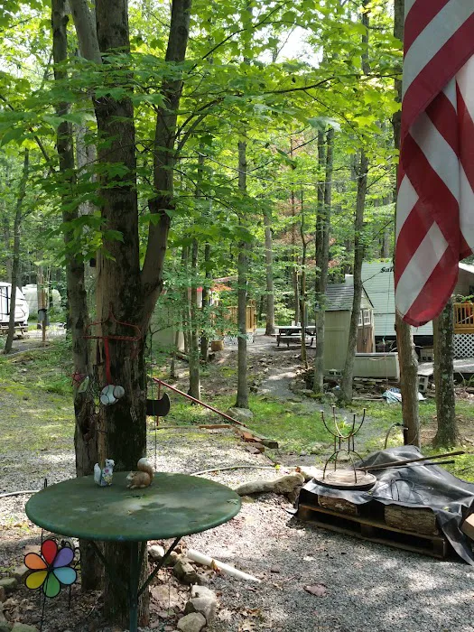 Gray Squirrel Campground Picture 8
