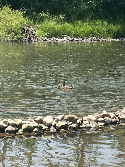 Penn's Creek Campground Picture 7