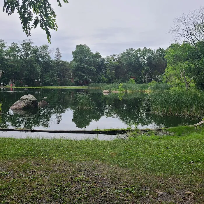 Drummer Boy Camping Resort Picture 9