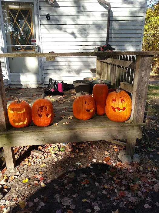 Country Village Picture 4