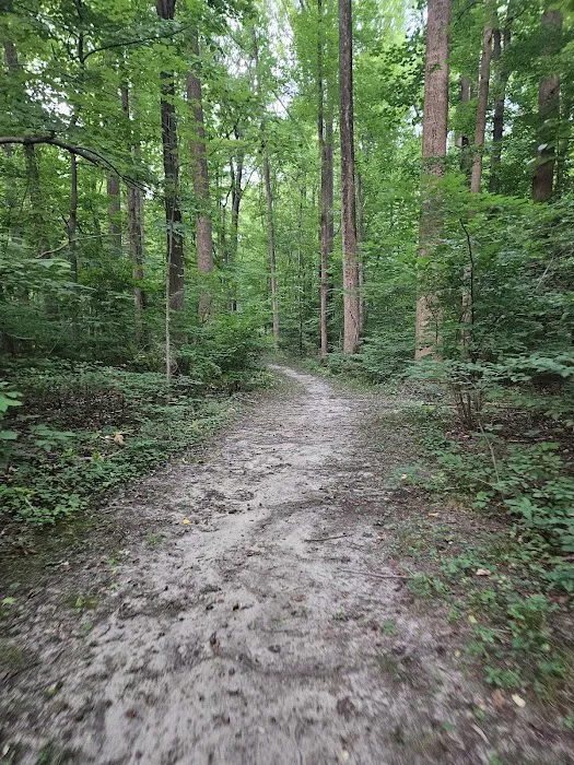 Watkins Regional Park Campground Picture 5