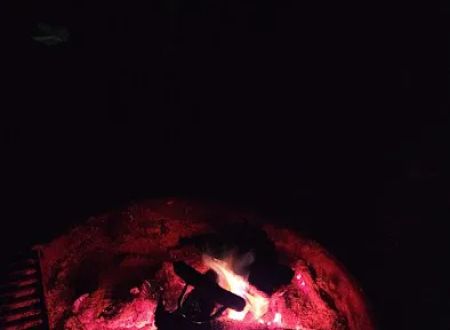 Watkins Regional Park Campground