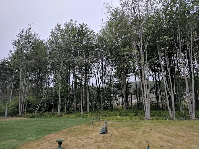 State Manufactured Homes Inc Picture 8